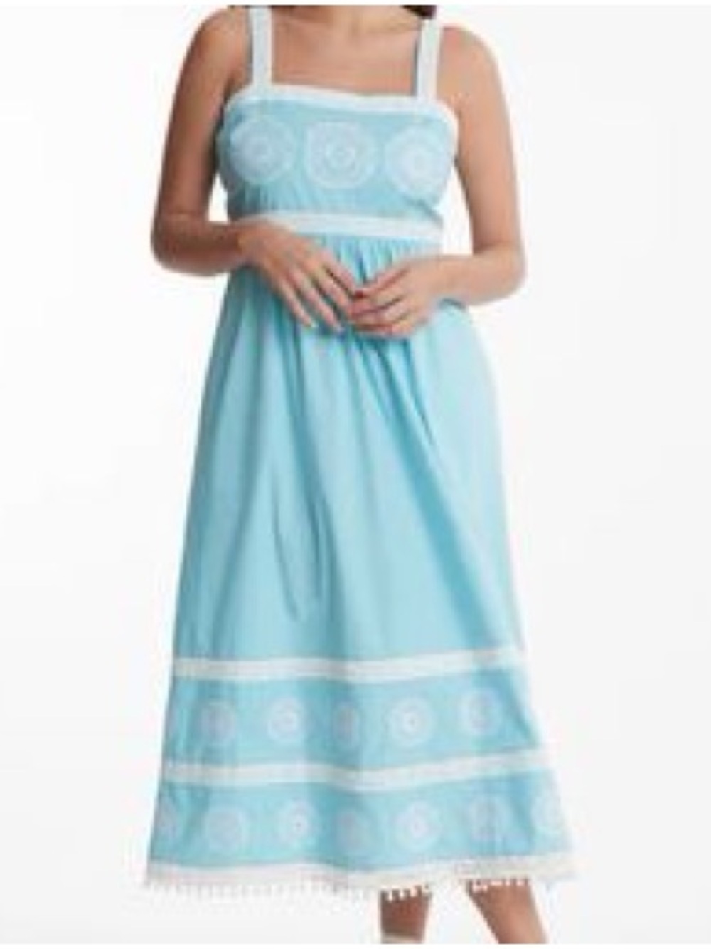 Tyler Boe Embroidered Mini Dress in Blue & White Size 10